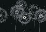 Pusteblume
